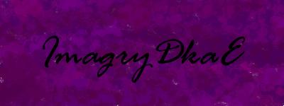ImagryDkaE Inc Logo
